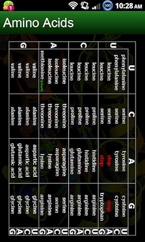 Amino Acids