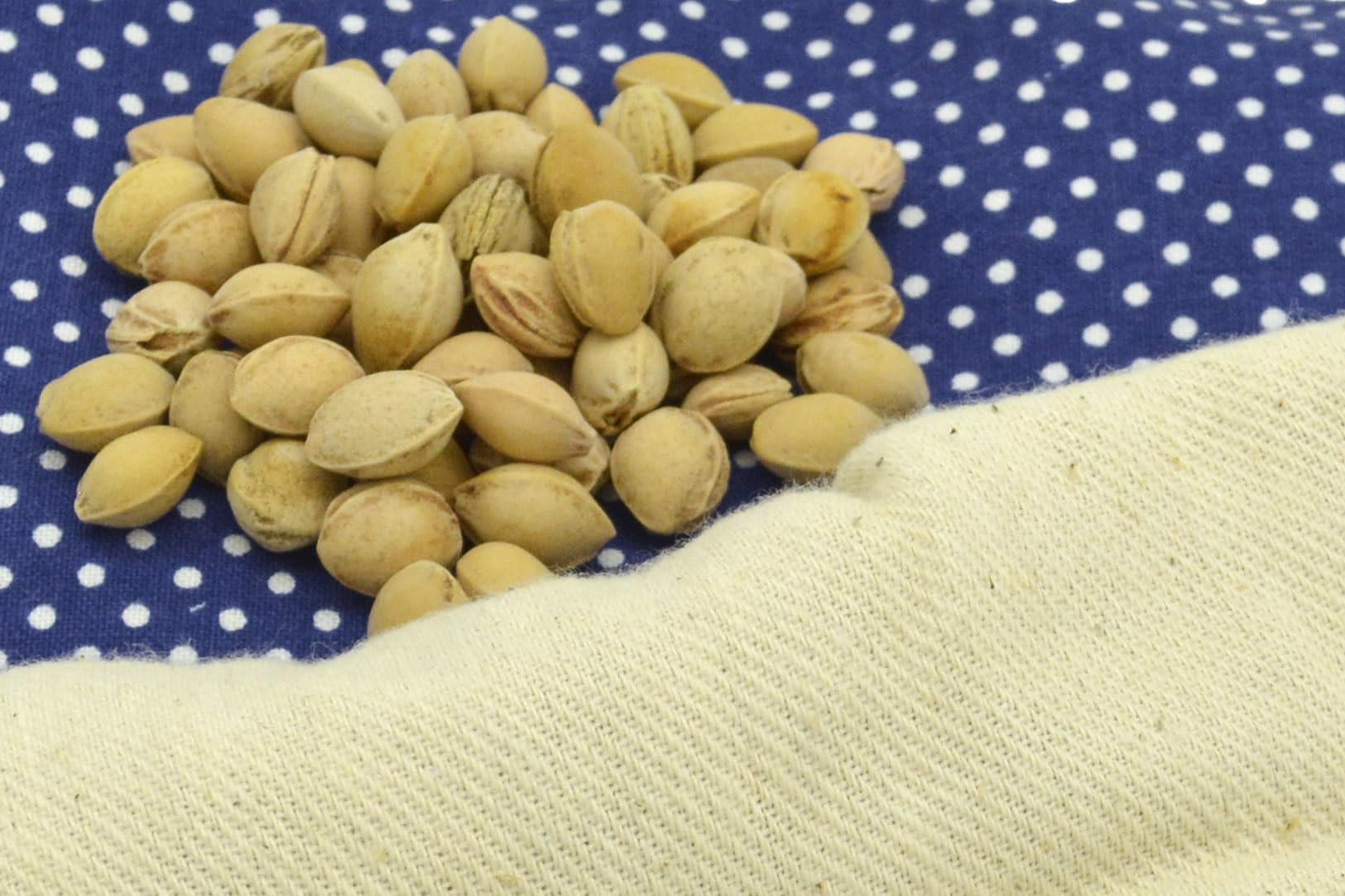 Cuscino termico ai noccioli di ciliegia 19×18 cm – dispositivo medico di classe I CE in cotone, applicazione caldo e freddo, blu con puntini bianchi