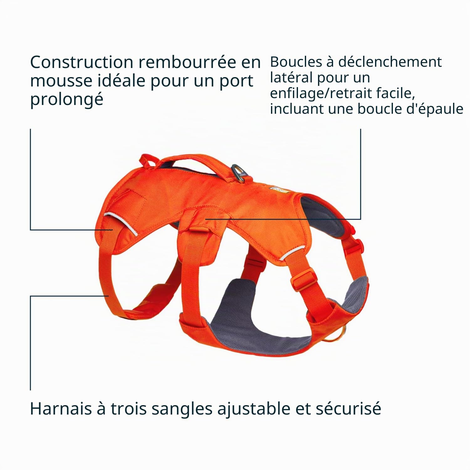 Ruffwear Web Master Harnais pour Chien avec poignée et Boucle améliorée, réglable et léger pour Les promenades et randonnées, Anti-Fuite, sans Traction, Respirant et Confortable, Blaze Orange, L/XL
