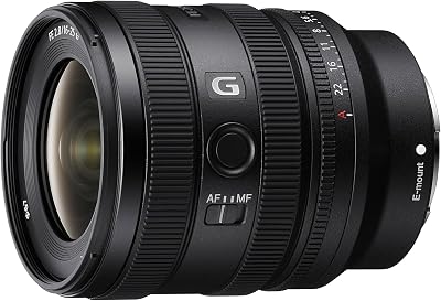Sony FE 16-25 mm f/2.8 G | Objectif Zoom Grand Angle Plein Format (SEL1625G)