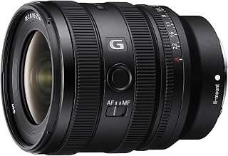 Sony FE 16-25 mm f/2.8 G | Objectif Zoom Grand Angle Plein Format (SEL1625G)