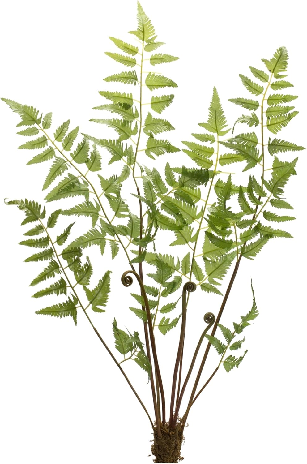 Melrose Set of 6 Polyester Fern Bundle with Green Finish 85421DS