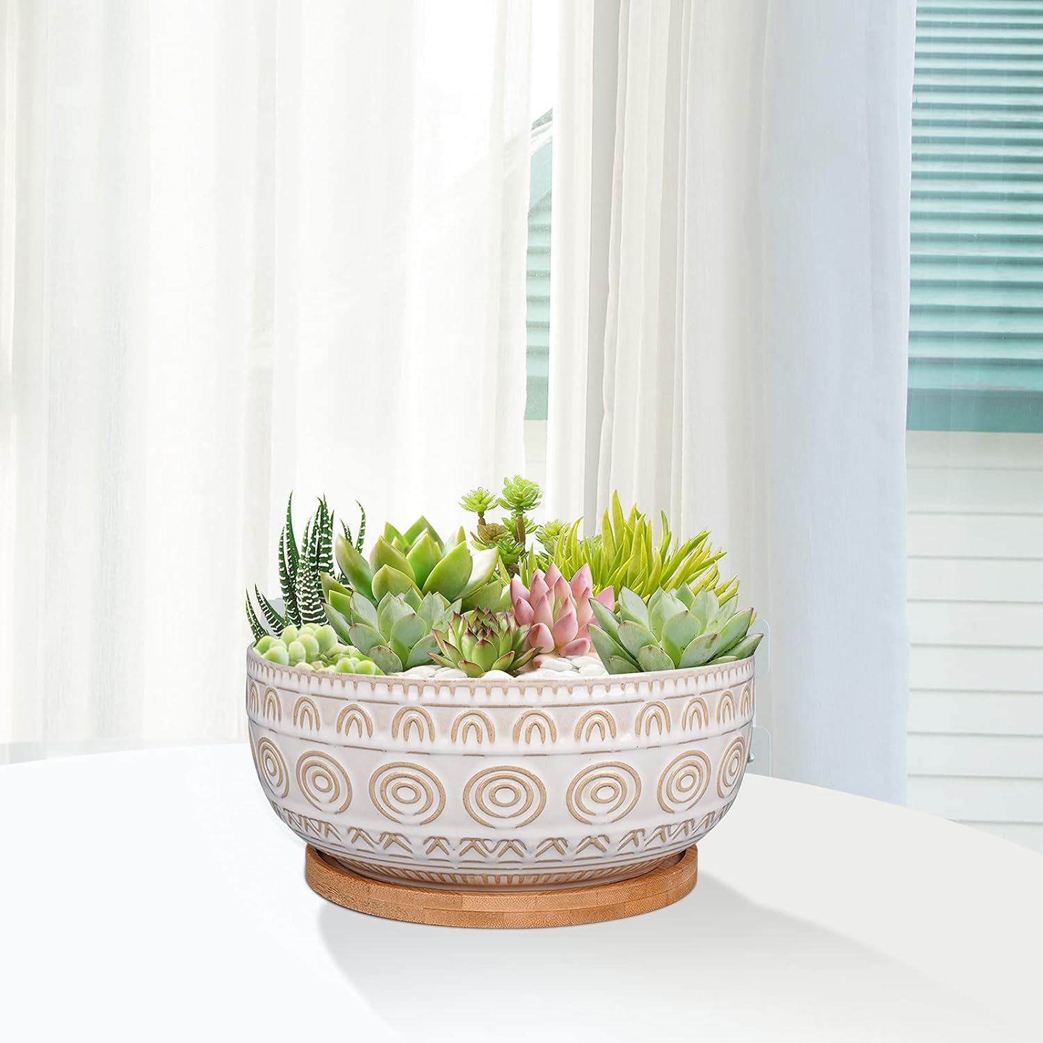 Elegant 8-Inch White Succulent Planter with Drainage and Saucer