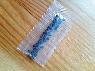 20 Stück affen orchidee pflanze kaufen samen dracula simia monkey