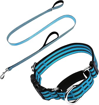 13-16.5 Length,1 Wide Martingale Collar and Leash Set, 1 x 6 FT Reflective Dog Leash for Medium Dogs, Light Blue