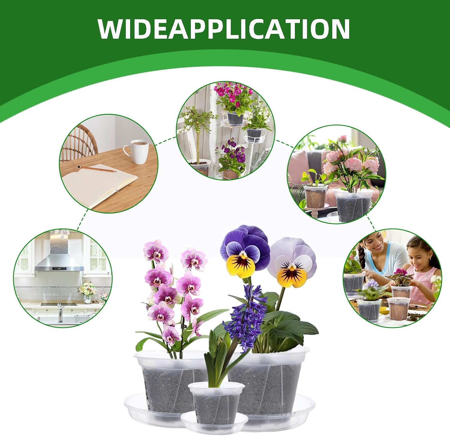 Clear Orchid Pots,5 Pack 5.5 Inch Transparent Pots for Orchids with Saucer,Clear Plant Pots with Drainage for House Plants, Herb, Flowers and Cactus