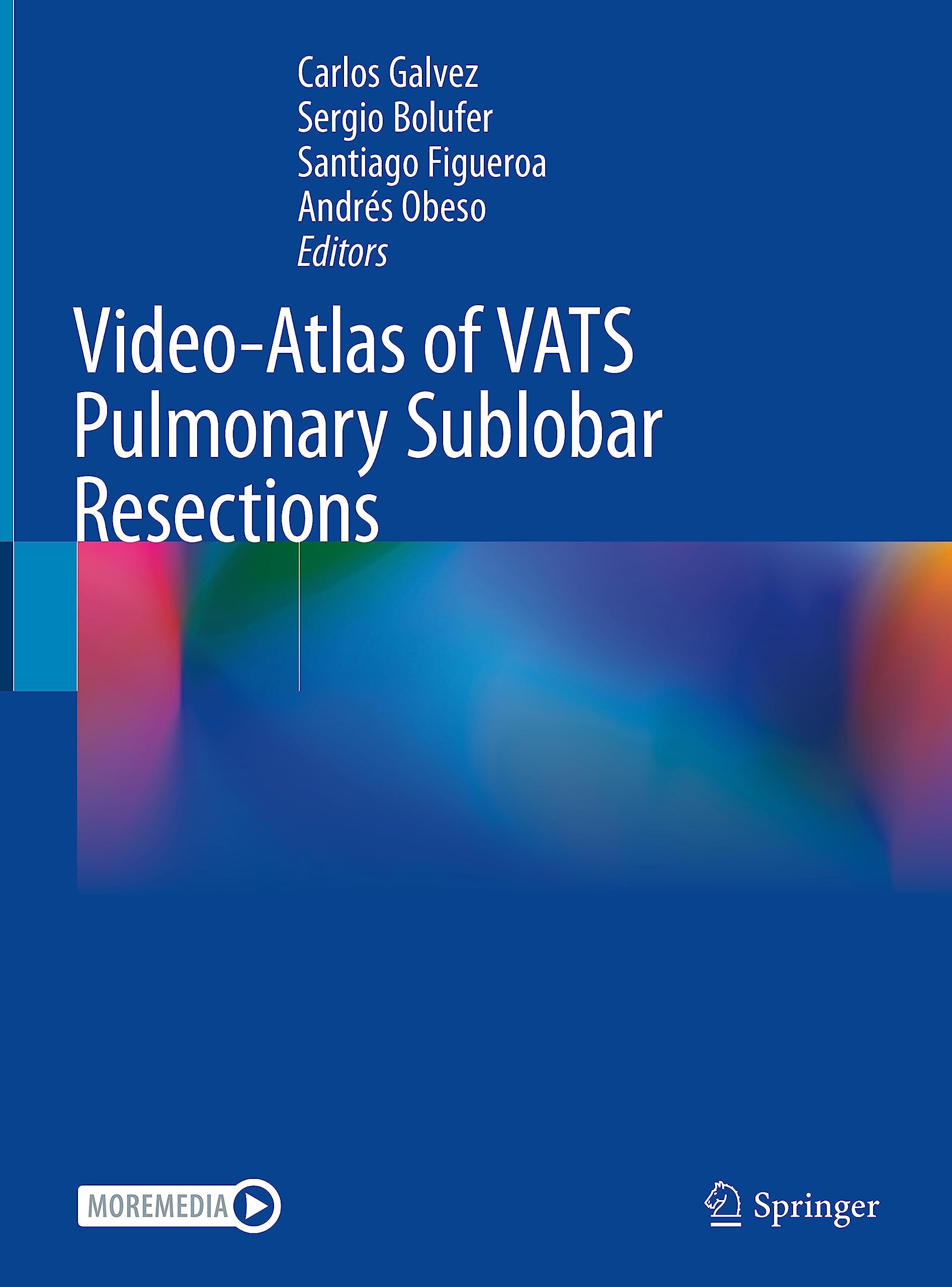 Video-Atlas of VATS Pulmonary Sublobar Resections (English Edition)