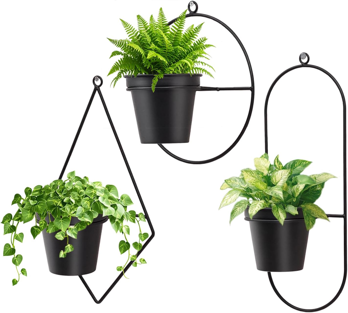 Geometric Wall Planters for Indoor Plants Set of 3 Black Metal Wall Mounted Plant Holder (Diamond & Oval & Round Shapes) with 5 Inch Flower Pots, Modern Hanging Planters for Indoor Decor
