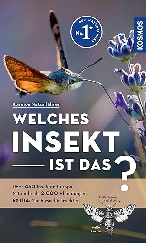 Welches Insekt ist das?: Über 450 Insekten Europas, mehr als 2.000 Abbildungen EXTRA: Mach was für Insekten - mit Kosmos-plus-App