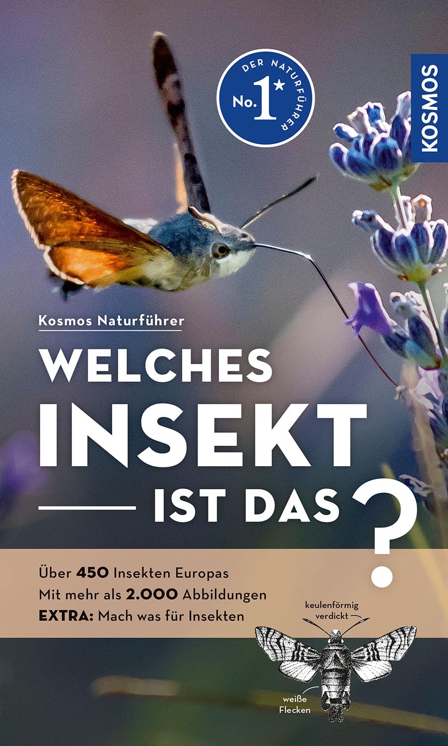 Kosmos Welches Insekt Ist Das?: Über 450 Insekten Europas, Mehr Als 2.000 Abbildungen Extra: Mach Was Für Insekten - Mit -Plus-App