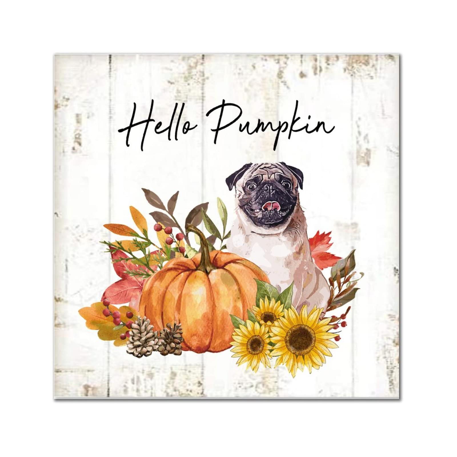 Plaque murale en bois 35,6x35,6 cm Hello Pumpkin Boston Terrier décorative pour salon