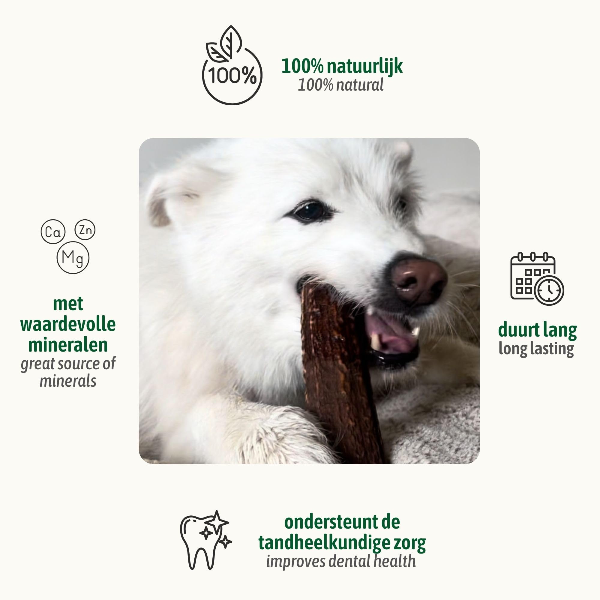 ChronoBalance® Stick L (zestaw 5) gryzaki dla psów do żucia dla psów: Naturalna zabawka do żucia, w 100% gryzaki dla psów do żucia, sprzyjają higienie jamy ustnej, bez dodatków, trwałość