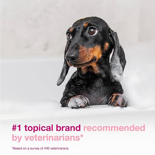 Miniatura 3 de DOUXO S3 Calm Combo Set - Champú (6.7 oz) y mousse (5.1 oz)