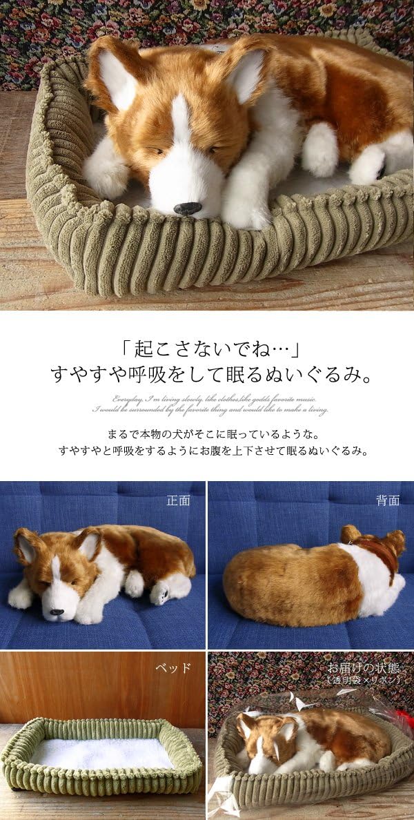 新品】 ニニアンドキノ パーフェクトペット コリー 小型犬 リアル 動物