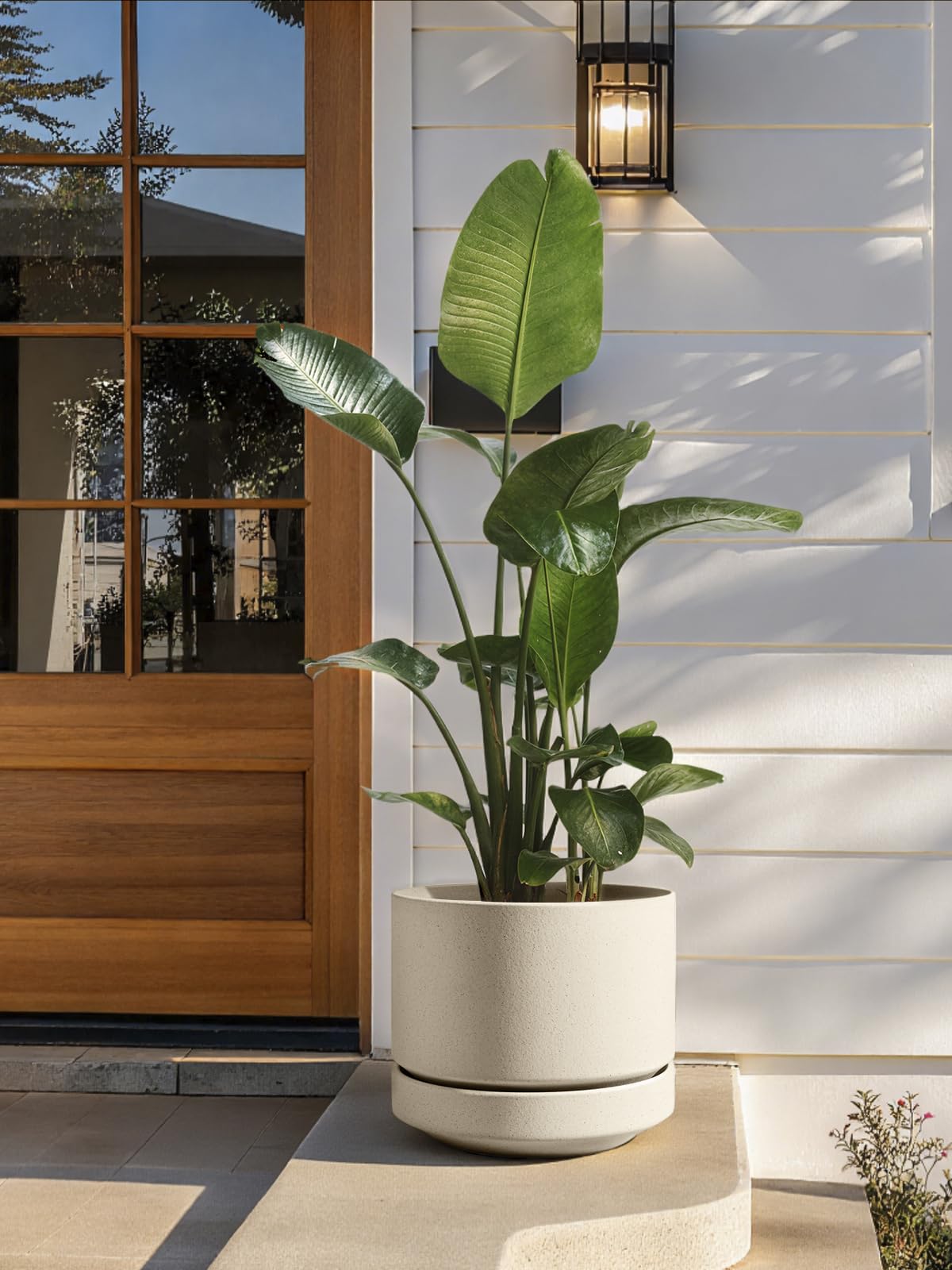 Le TAUCI Grand Pot de Fleurs en Céramique 35 cm avec Soucoupe, Jardinière pour Intérieur et Extérieur, Trou de Drainage avec Filet et Bouchon, Non Émaillé et Respirant - Beige Sable