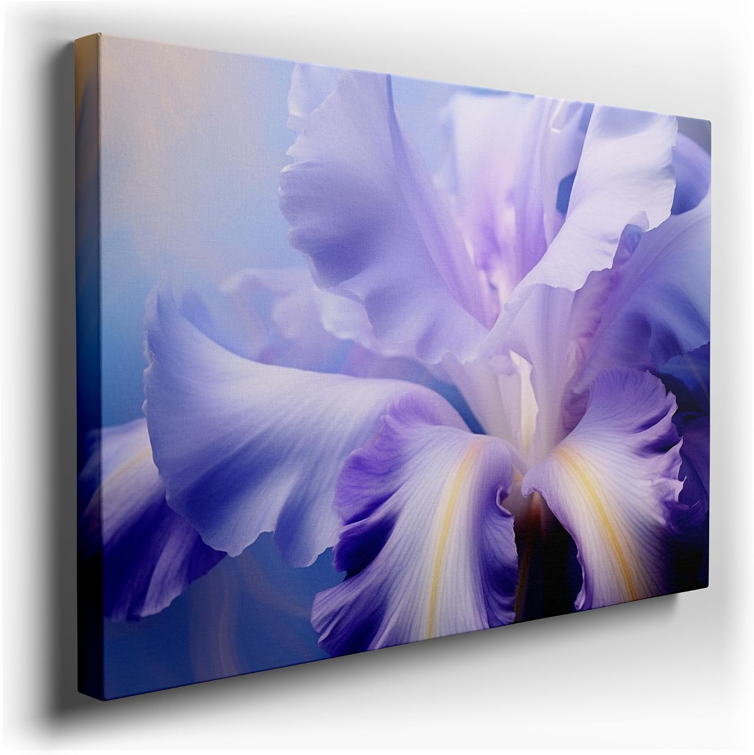 Canvas for Living room. Whispers of Nature Unveiled: Discover the Dreamy Blue Iris in Full Bloom, 27 x 18 inch Canvas Wall Art - Ready to Hang - 69x46 cm (27x18 inch)