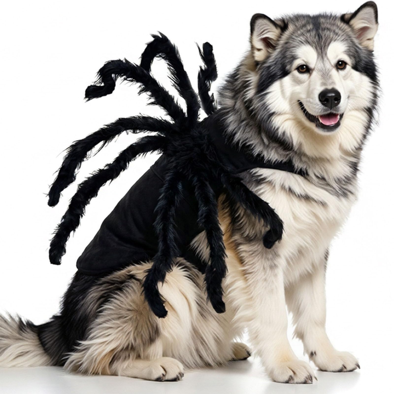 Pet Spider Costume Halloween Costumes Furry Giant Realistic Spider Dog Outfits Cosplay Dress up Funny Costume for Small Medium Dogs Cats Puppy Cats Clothes Accessories Party Decoration (X-Large)