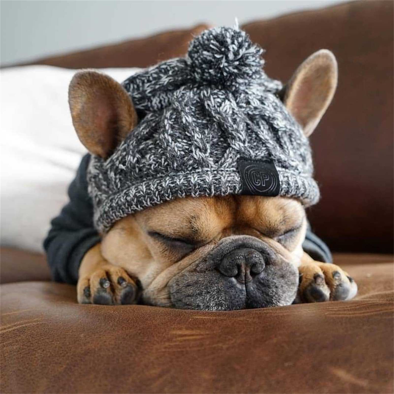 Genericb Winter zachte hondenhoeden, warme hond gebreide muts, winddicht breien Franse Bulldog hoed voor kleine middelgrote honden (L