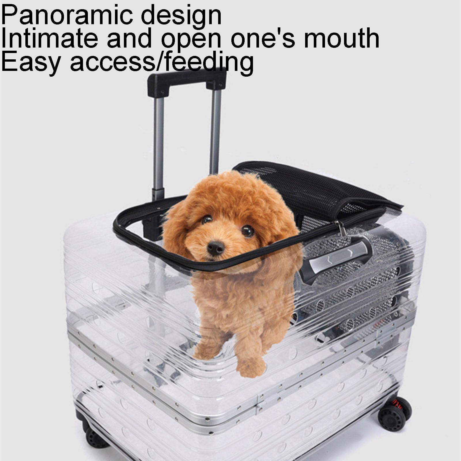 Custodia da viaggio trasparente per animali domestici, con ruote girevoli silenziose e manico regolabile, materiale resistente, adatta per cani e gatti