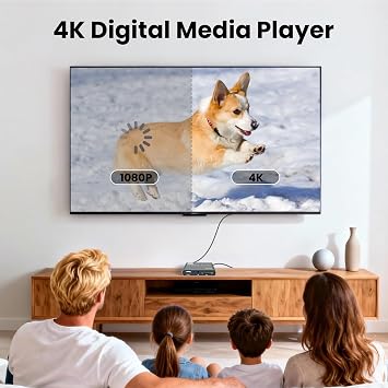 4K Ultra HD Digital Media Player for USB Drives/SD Cards, Digital Signage, Auto Play and Resume, H.265/HEVC, MP4, MKV, Analog AV/HDMI Port (Grey)