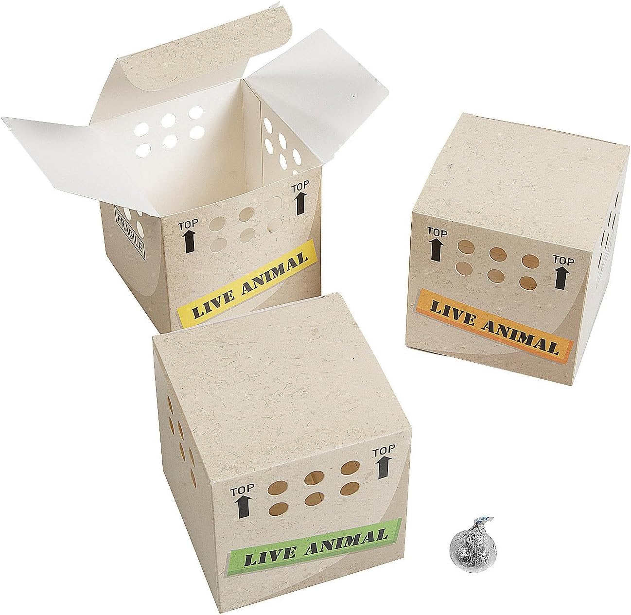 Fun Expess 3 1/2" x 3 1/2" Zoo Animals Party Favor Gift Boxes - 12 Pieces