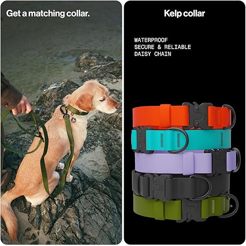 Miniatura 7 de Correa impermeable Kelp - Verde