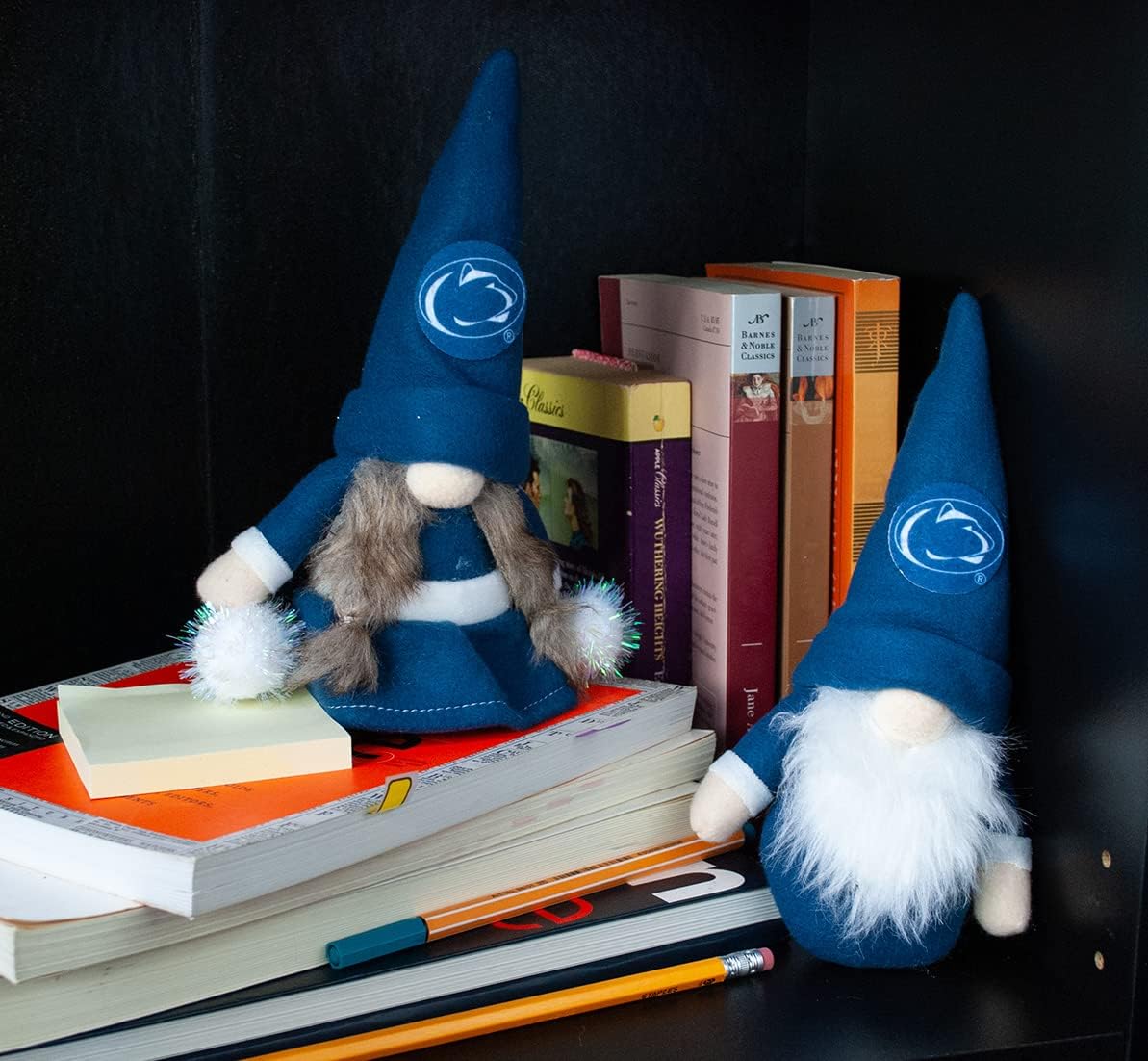 Penn State Tailgate Banner and Gnome Ornaments - Show Your Nittany Lions Spirit in Your Dorm or Graduation Parties - by Hanna's Handiworks