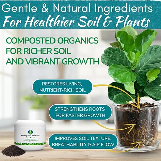 Acondicionador de Suelo para Plantas de Interior 5.5 oz miniatura 2