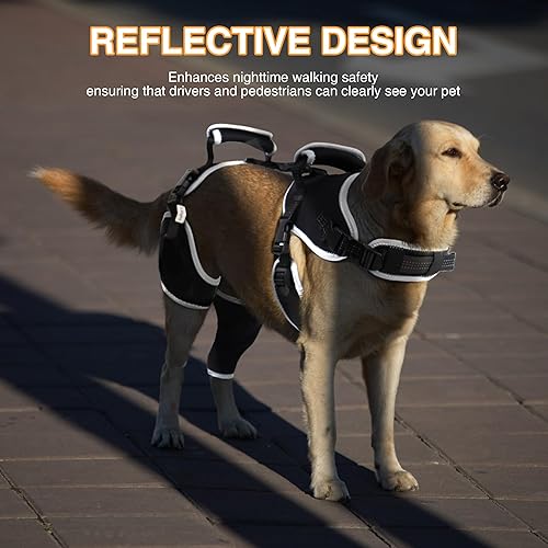 Miniatura 16 de Rodillera para perro para pierna trasera desgarrada ACL/CCL, soporte ajustable con suficiente envoltura y soporte y rótula luxante, soporte