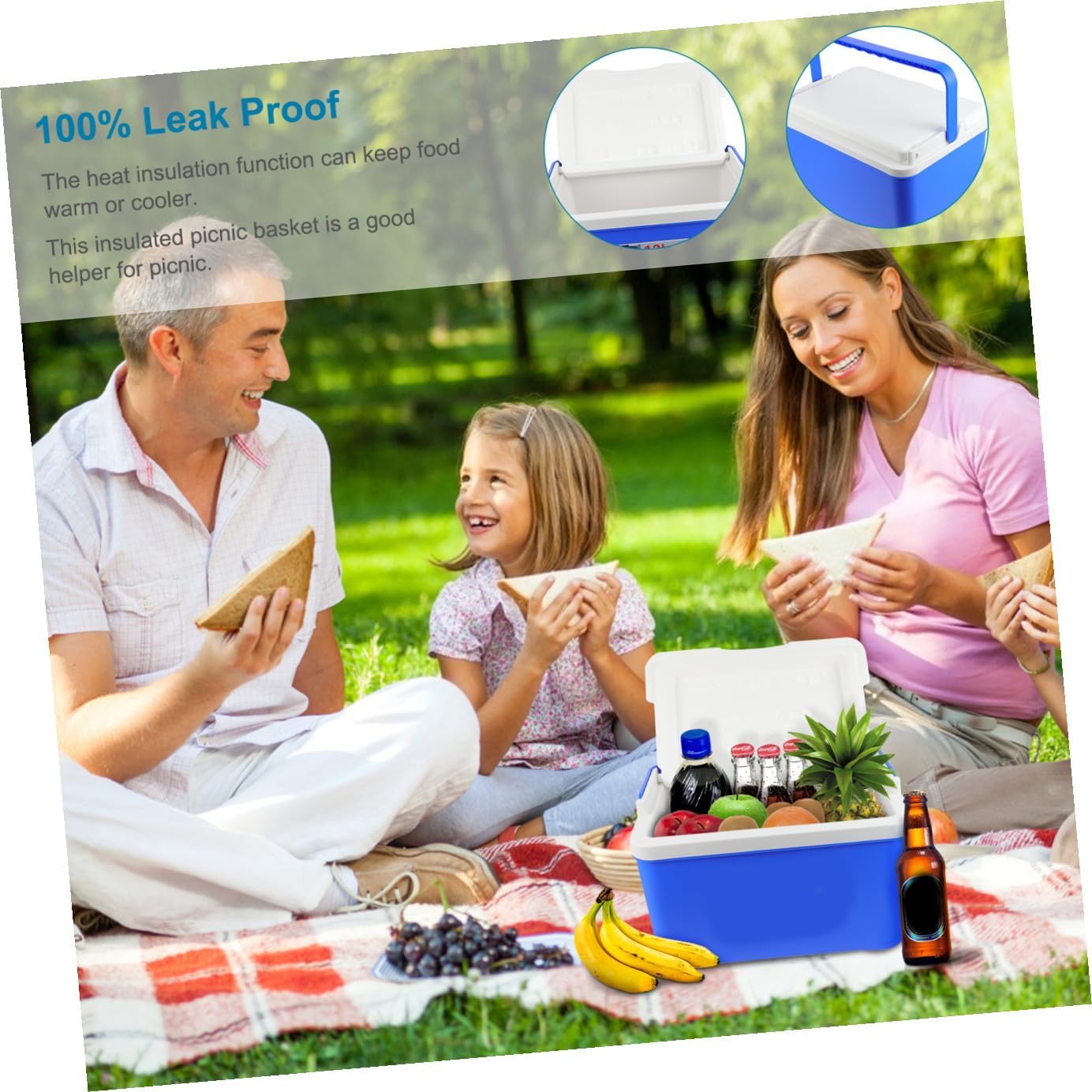 Picnic Basket Cooler with Insulation Portable 12l Lunch Cooler for Outdoors
