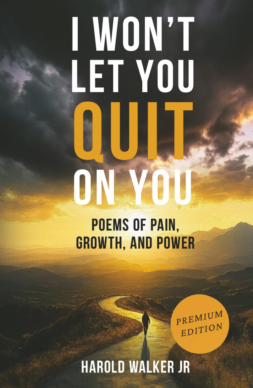 I Won't Let You Quit on You: Poems of Pain, Growth, and Power