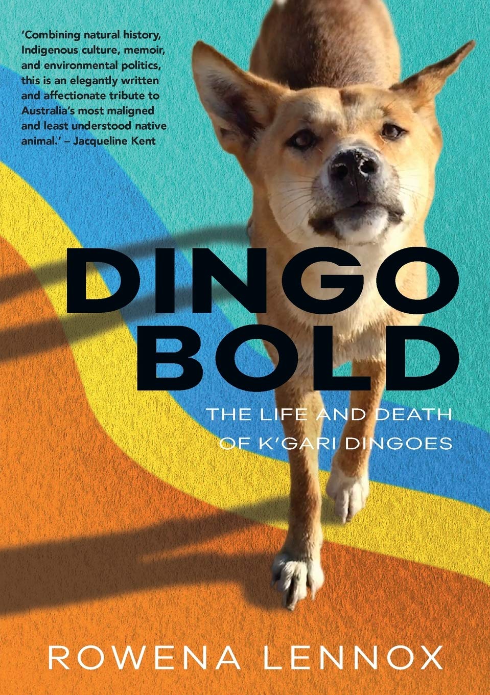 Buy Dingo Bold: The Life and Death of K'gari Dingoes (Animal Publics) — BookShops.in