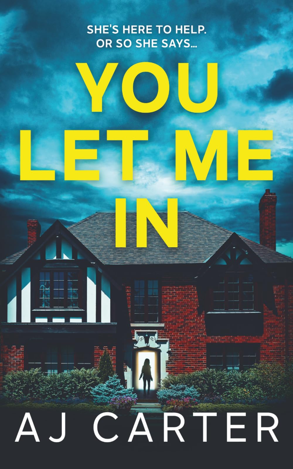 You Let Me In (Standalone Psychological Thrillers)