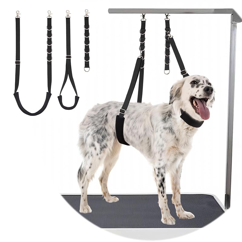 Kit de contenção para tosa de cães com alça abdominal acolchoada DISCPETSEC, 3 peças, Black