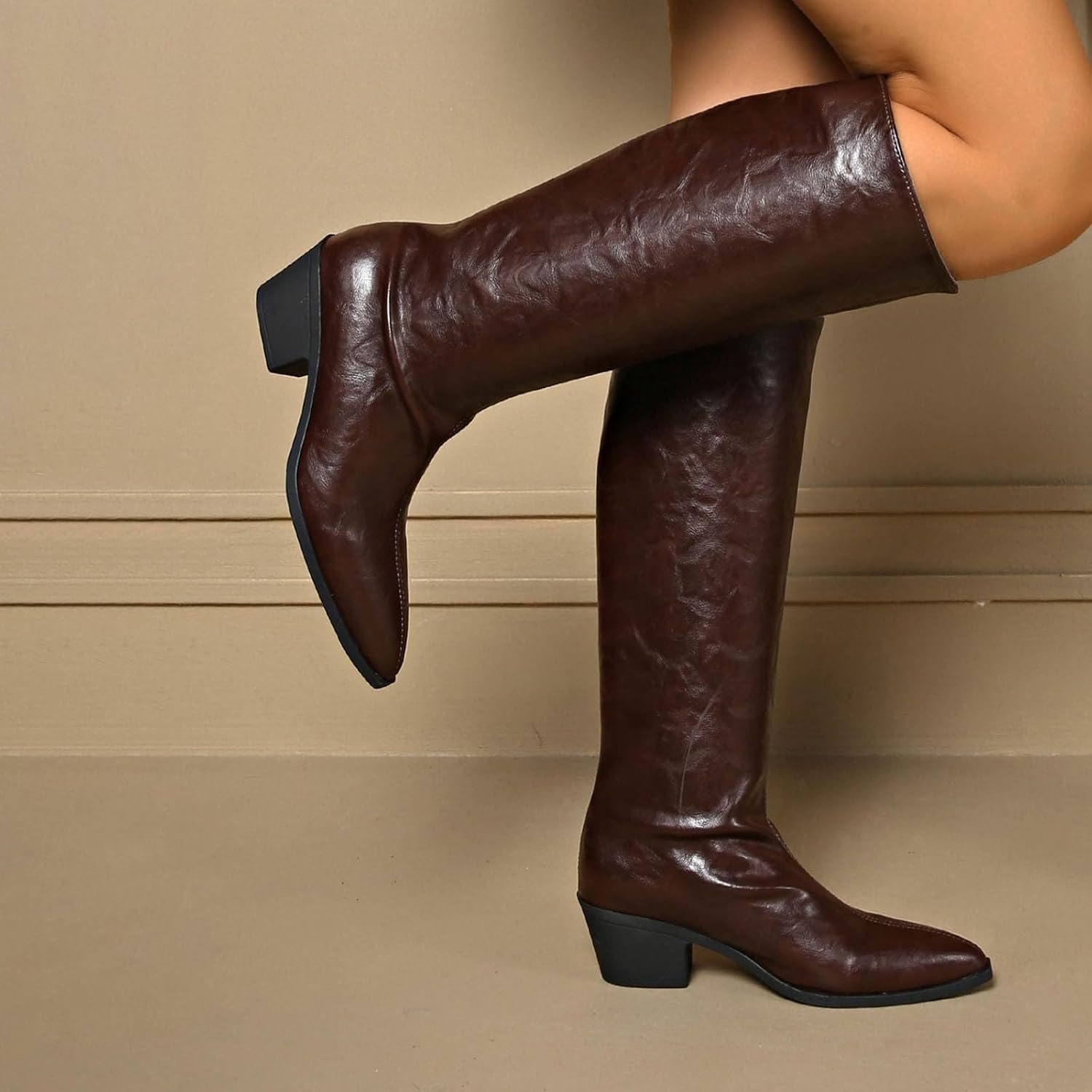 Fashion Pointed Toe Boots for Women:2025 Winter Warm Knee High Booties High Chunky Heel Side Zipper Footwear Shoes Clubwear Party Dressy