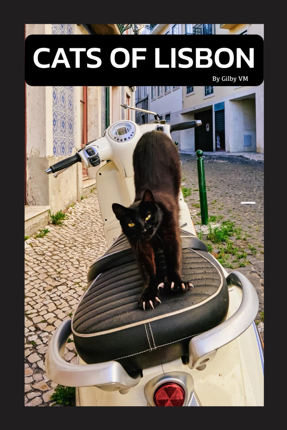 Cats of Lisbon affiche puzzle de collection imprimé mat