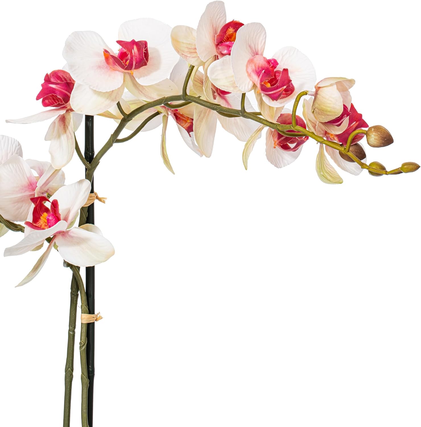 Vickerman Everyday 22" Indoor Artificial Pink and White Phalaenopsis Spray - Real Touch Petals - Decorative Ceramic Pot - Premium Durable Arrangement - Maintenance Free
