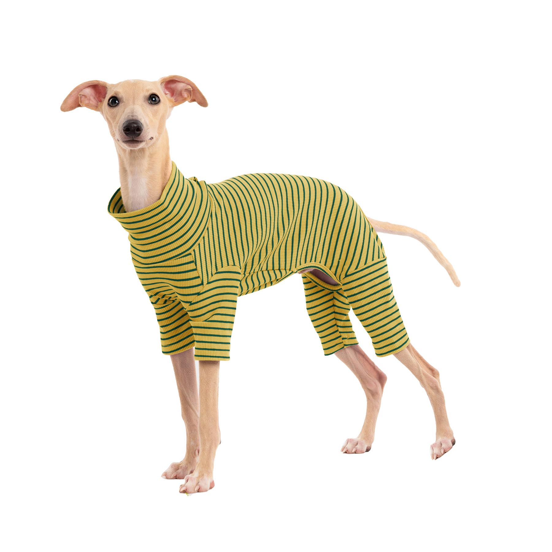 Dog Sweaters for Small Dogs Girls Boys, Striped Pet Sweaters for Fall Winter Dog Clothes, Turtleneck Pullover Knitwear for Small Medium Large Dogs