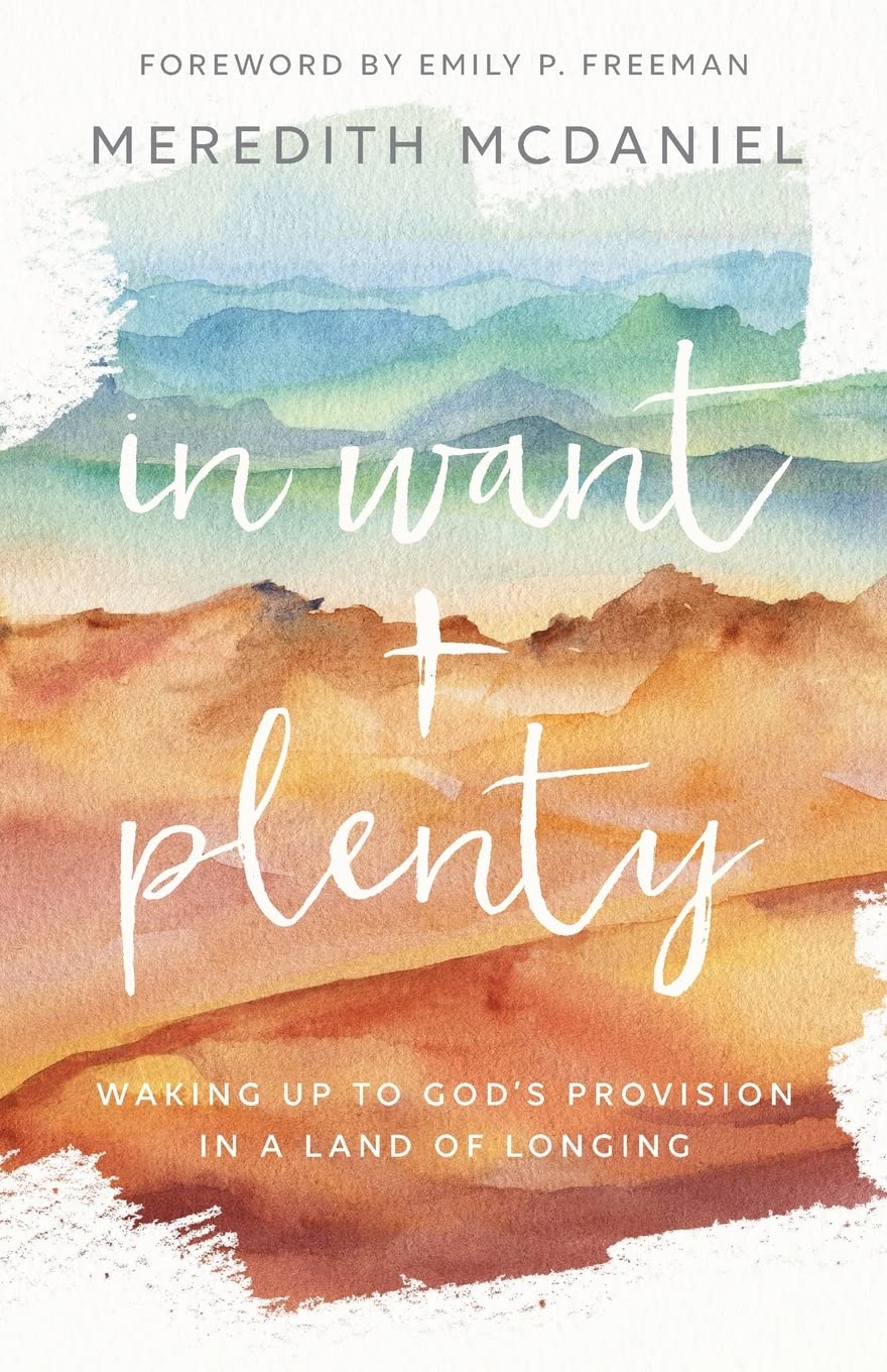In Want + Plenty: Waking Up to God’s Provision in a Land of Longing