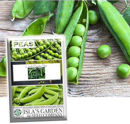 Lincoln Garden - Semillas de guisantes para plantar, más de 50 semillas tradicionales por paquete, semillas de jardín de Isla (semillas de jardín de