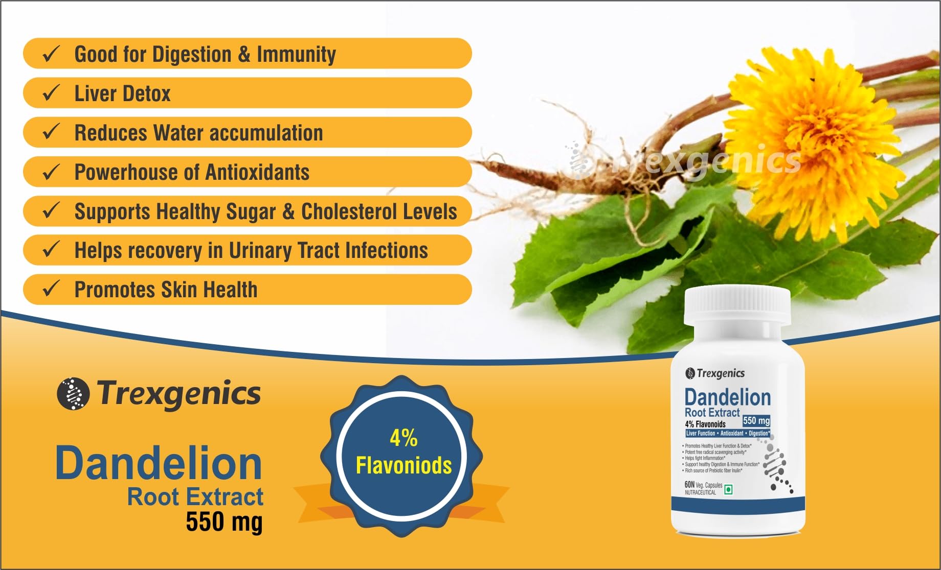 Trexgenics DANDELION (Bioactive 4% Flavonoids) 550mg EXTRACT Liver Function, Dextox, Antioxidant, Digestion (60 Veg Capsules) 3