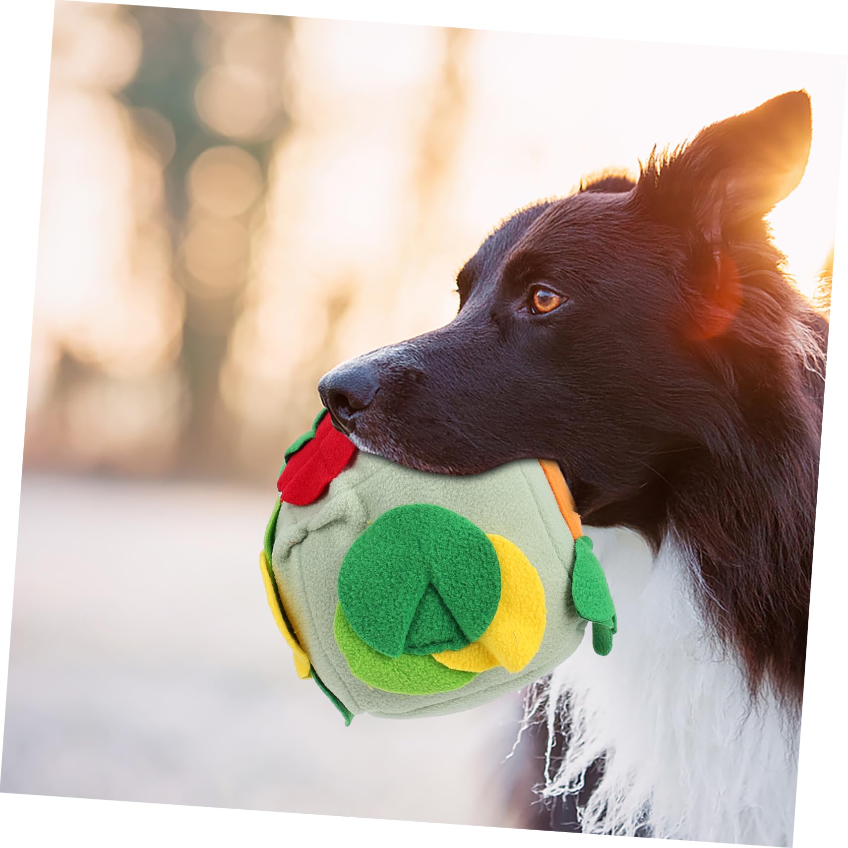 Housoutil 2stücke Hundeschnüffelball Für Interaktives Spielen Futterball Aus Weichem Atmungsaktivem Material Fördert Das Futterfinden Zahnpflege Für Kleine Bis Mittelgroße Hunde