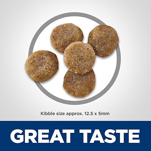 Miniatura 3 de Hill's Science Diet Sensitive Stomach & Skin, adulto 1-6, soporte de sensibilidad estomacal y de la piel, alimento seco para gatos, salmón y