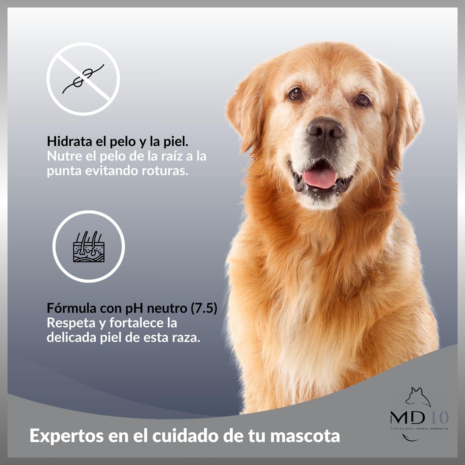 Champú para Golden Retriever - Champú para Perros Hidratante y Dermoprotector Vitamina D-Pantenol - Activos Desenredantes - Aspecto Sedoso - Vegano - Fabricado en España - 5 L - MD-10 COLLECTION