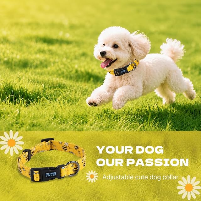 Foto 4 de 6 de COSYHOMELONDON Collar Perro, Ajustable y Resistente con Patrones de Moda