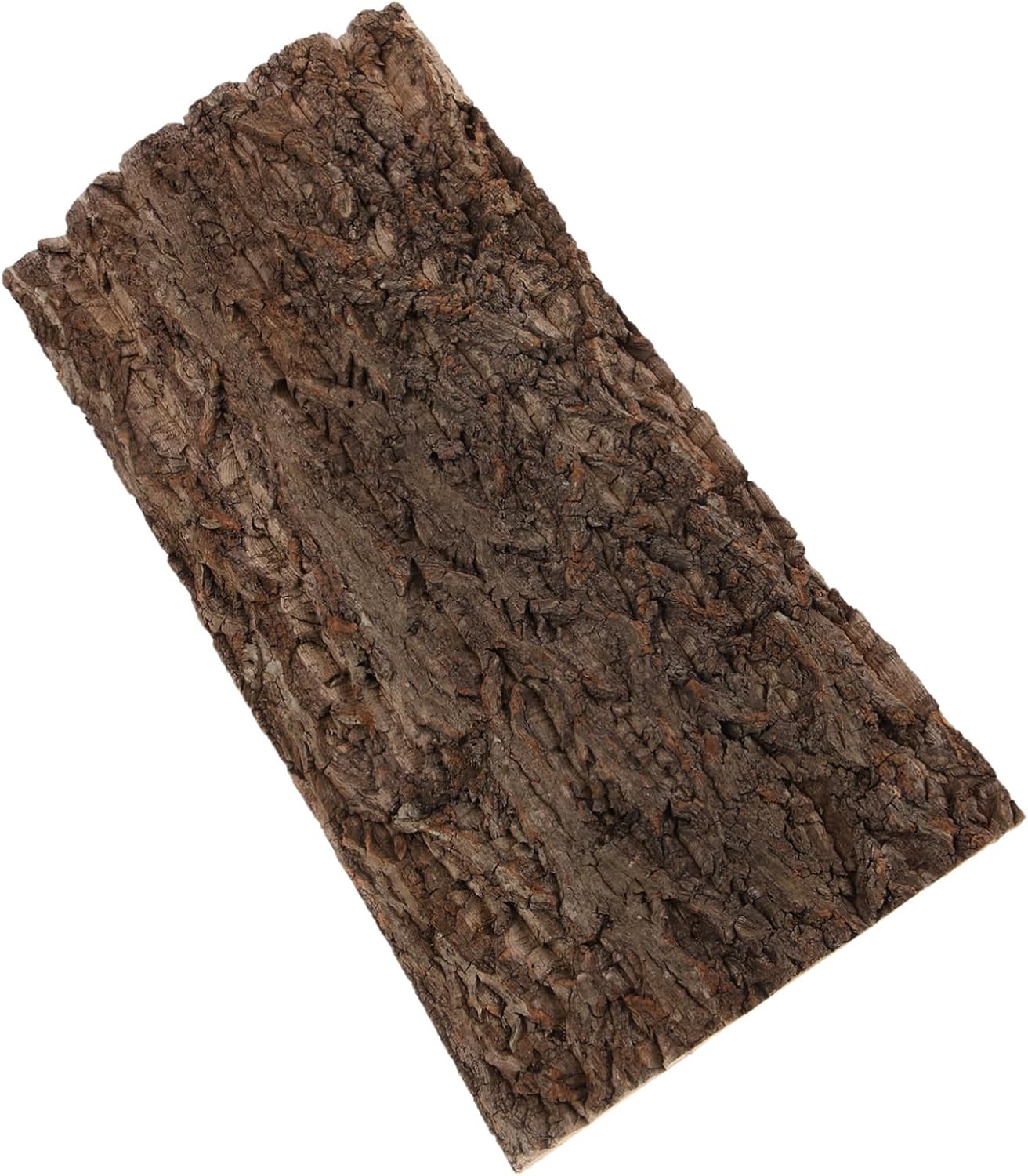 Toyvian Reptile Terrarium Bark Decor Natural Tree Bark Decoration for Reptile Tanks Lightweight Design for Creating Lifelike Habitats Aquariums and Fish Tanks