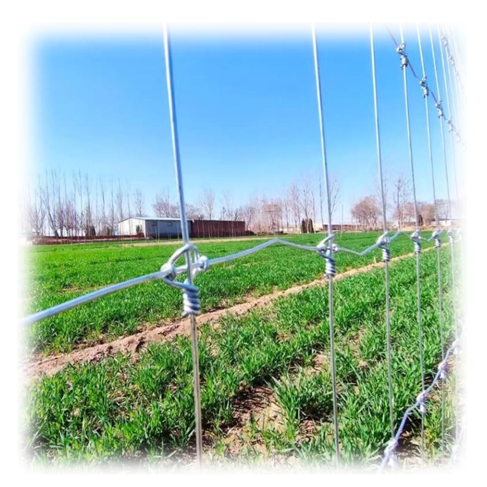 GZHERVICES Galvanized Wire Fence, Safety Fall Protection Guardrail Mountain Isolation Mesh Vegetables Garden Fruits Fence, New Metal Buckle (Color : Silver-1.8mm, Size : 1.2x10m)