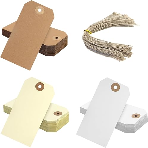 120 Pcs Étiquettes Vierges avec Ficelle Étiquettes Papier Cardst 