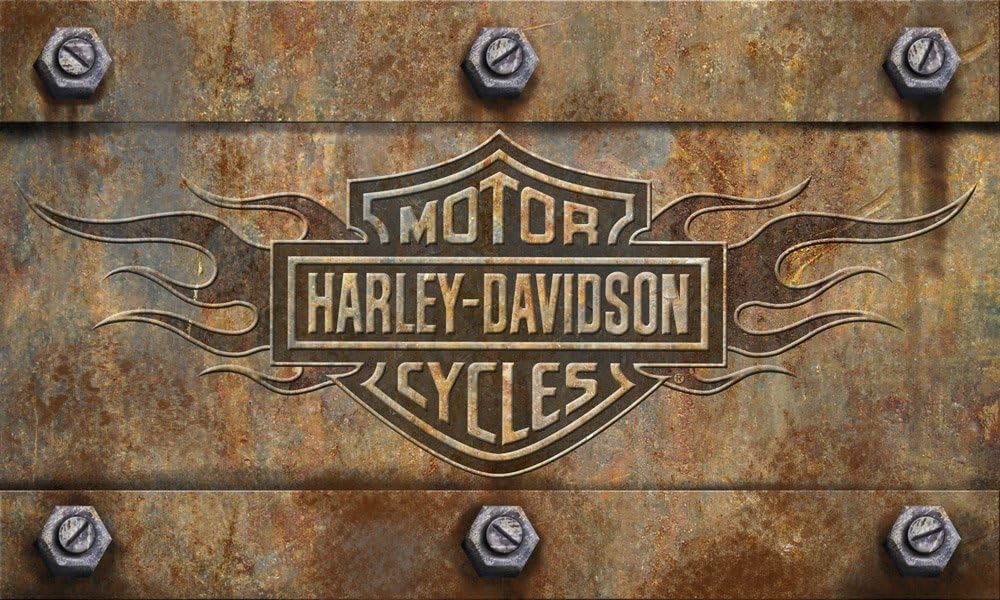 Harley-Davidson Embossed Flames Bar & Shield Entry Floor Mat, Brown 41EM4901