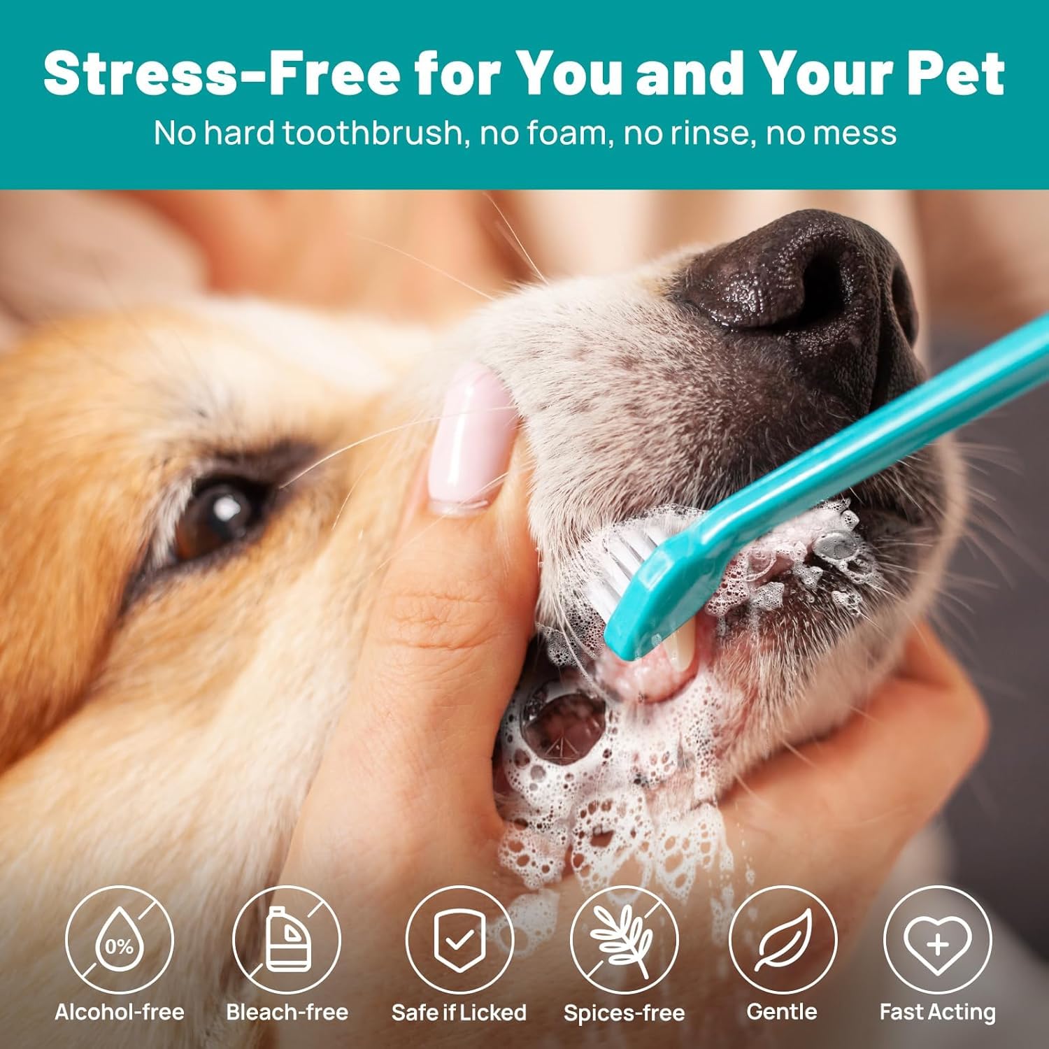 JD PRO | 50 PCS Wet Wipes for Dogs, Pet Wet Wipes for Cats Dogs, Non-Woven Dog Wet Wipes for Cleaning Finger Cat Cot Grooming Wipes Suit for Pet Daily Teeth & Paw Care Cleaning Wipes | 2